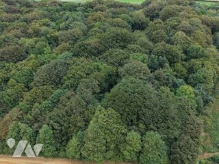 Vente Terrain À VENDRE – Ensemble de deux parcelles boisées à Hermelinghen Hermelinghen