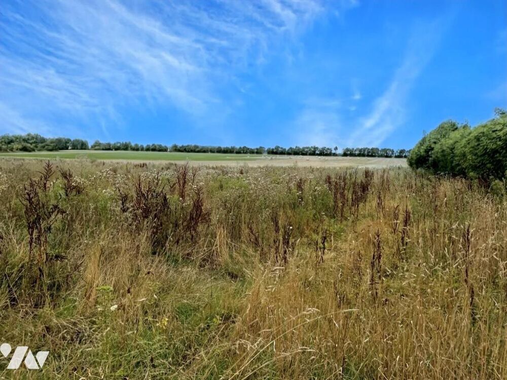Vente Terrain LASSON - Neufs Mers Rots