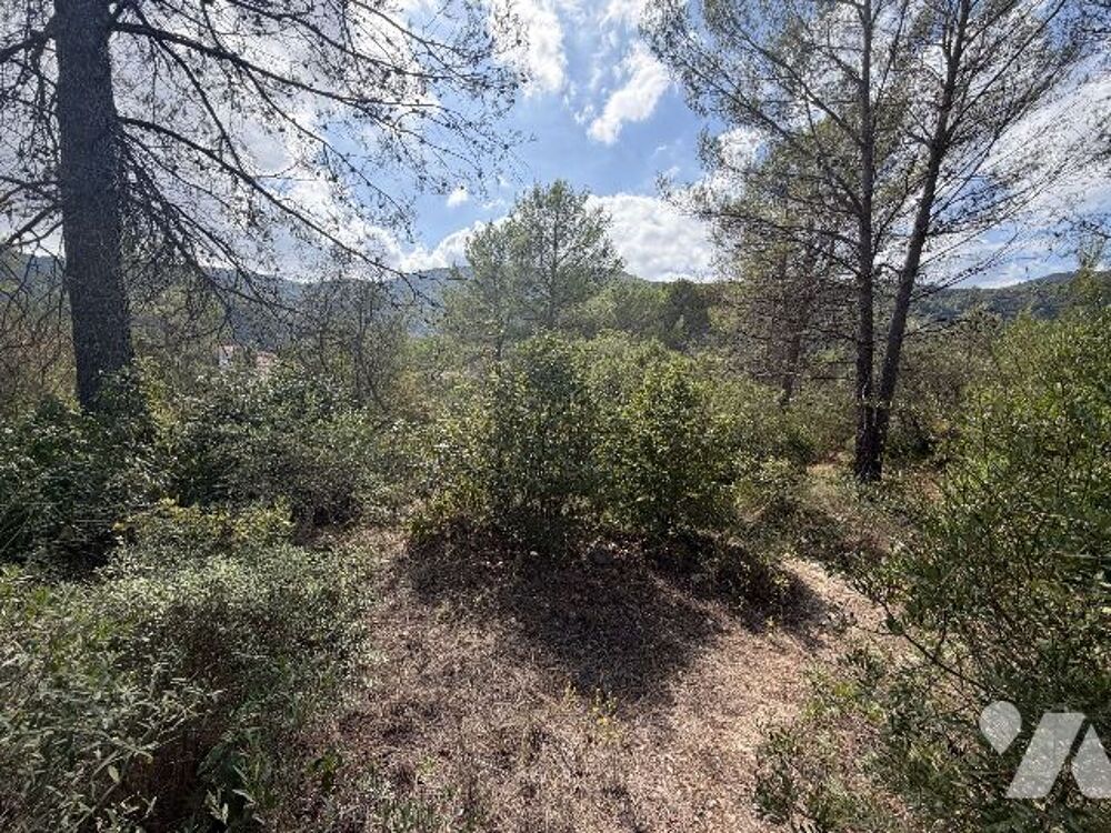 Vente Terrain VENTE NOTARIALE INTERACTIVE - CH DES RIGAOUS - 83210 SOLLIES-TOUCAS (VAR) - TERRAIN A BATIR 2946 M2 Solliès-toucas