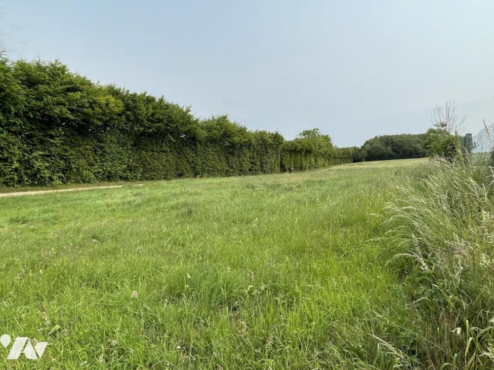 Vente Terrain Terrain hors lotissement Moulins en bessin