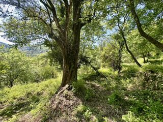  Maison  vendre 1 pice 72 m