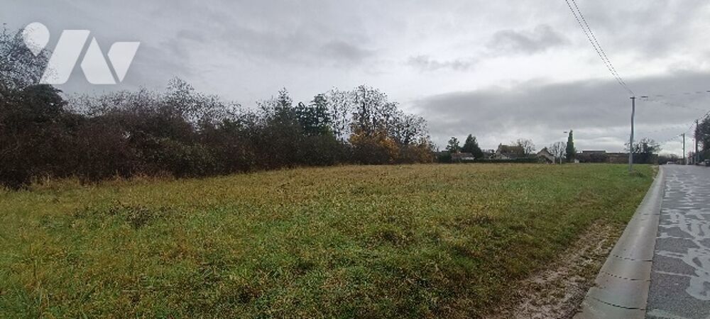 Vente Terrain Voulx,  15 mn de la gare de Montereau  trs beau terrain constructible de 3 844 m . Voulx