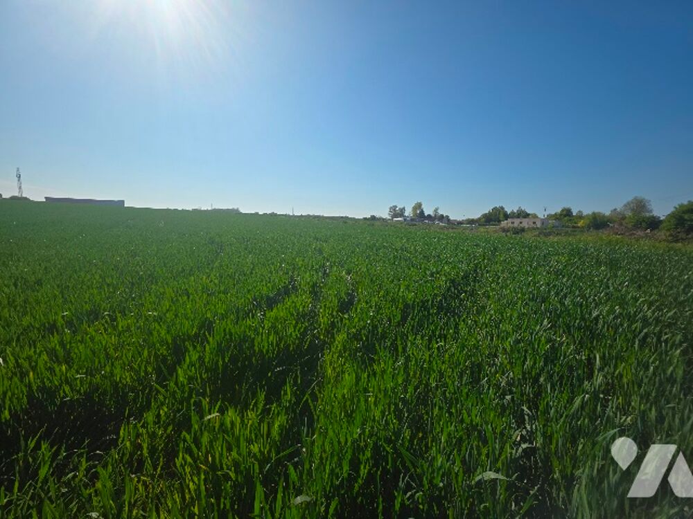 Vente Terrain Opportunité pour un lotisseur, un promoteur ou un investisseur. Saint-martin-lez-tatinghem