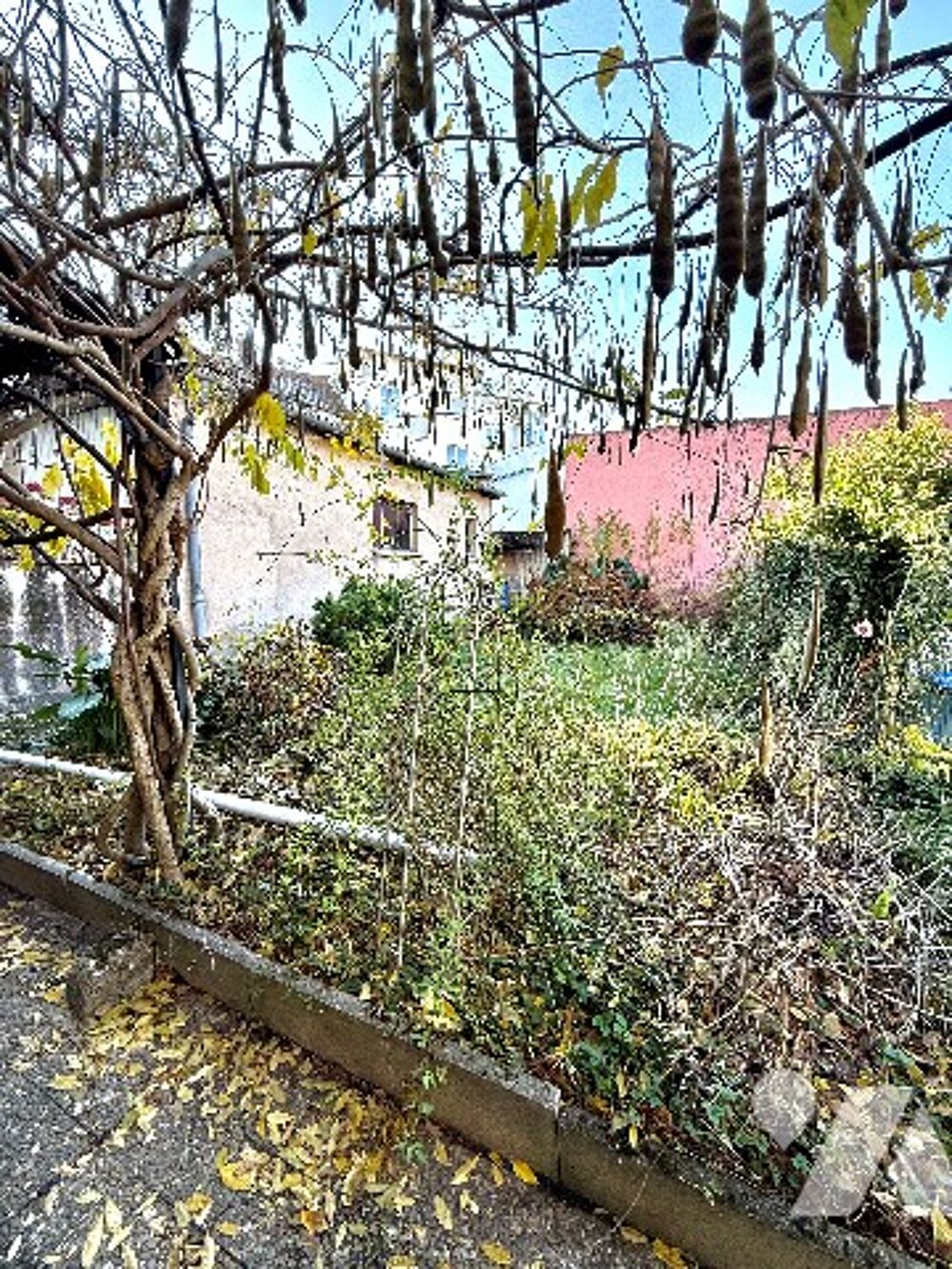 Vente Maison . Hœnheim