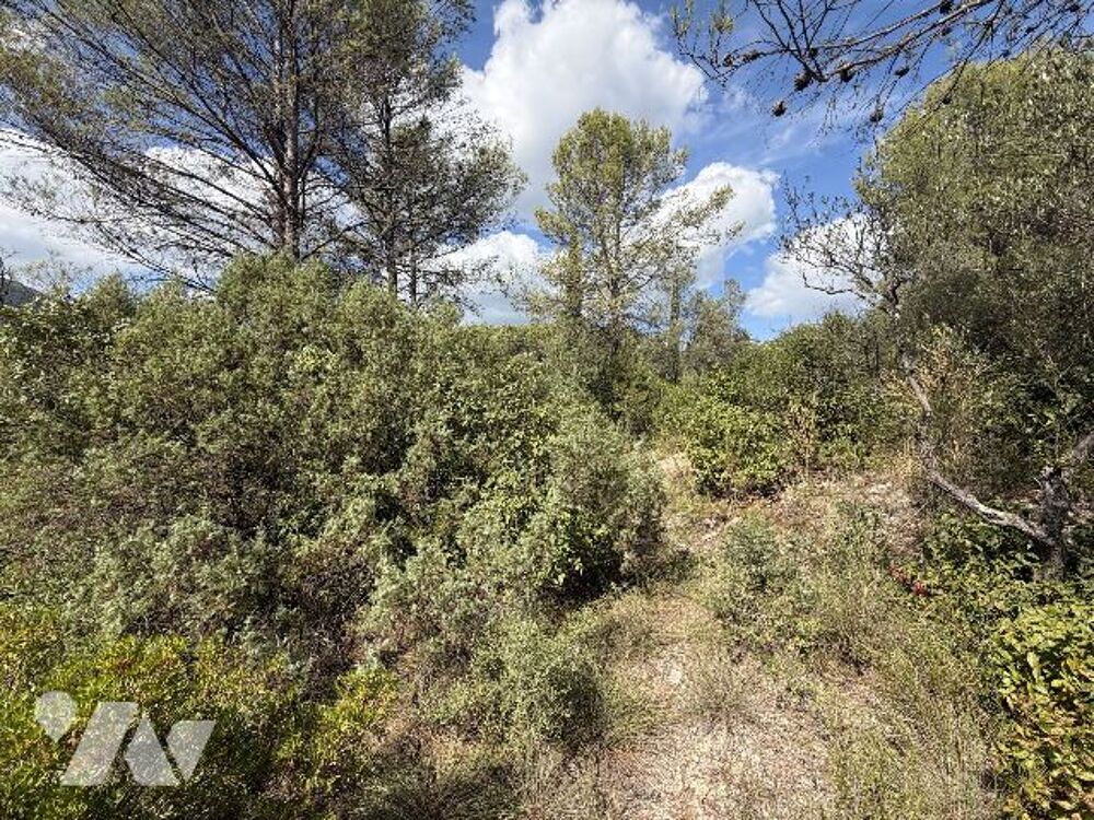 Vente Terrain VENTE NOTARIALE INTERACTIVE - CH DES RIGAOUS - 83210 SOLLIES-TOUCAS (VAR) - TERRAIN A BATIR 2946 M2 Solliès-toucas