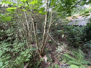  Maison � vendre 2 pi�ces 60 m�