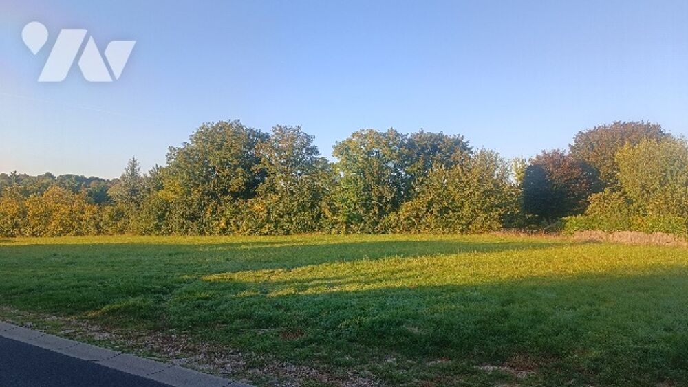 Vente Terrain Au centre de la commune de Voulx, beau terrain constructible de 3 844 m² , 116 m de façade. Voulx