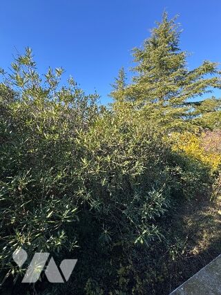  Maison � vendre 5 pi�ces 129 m�