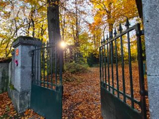  Maison � vendre 15 + pi�ces 785 m�