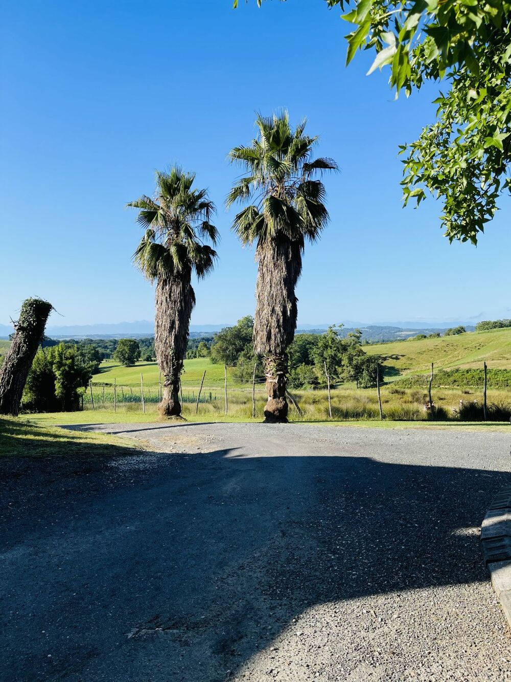  vendre  Maison Orthez (64300)