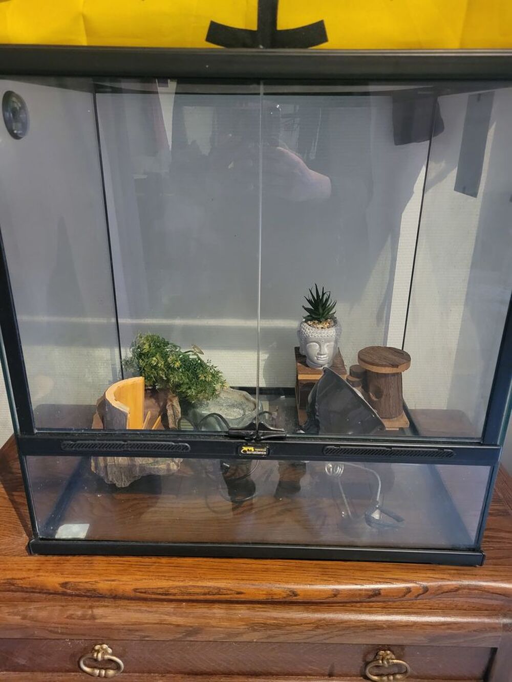 Grand terrarium Tr&egrave;s bonne &eacute;tat Décoration