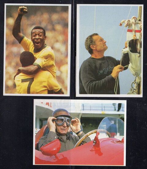 LOTS D'IMAGES POULAIN 3 Caumont (09)