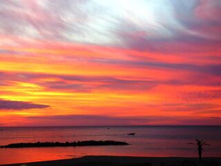 Location  Appartement 