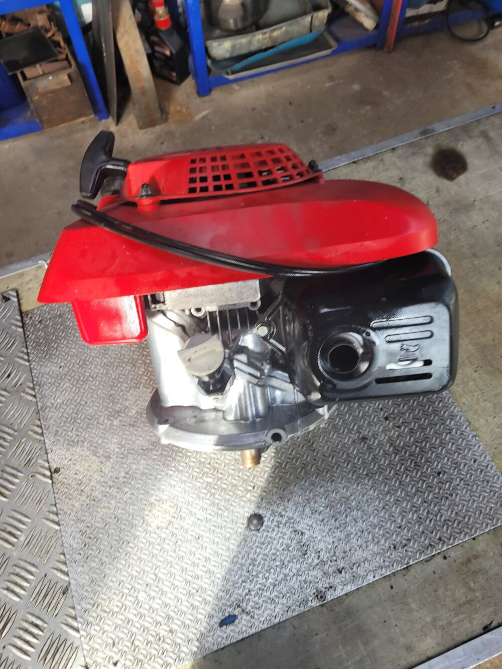 Moteur tondeuse Jardin