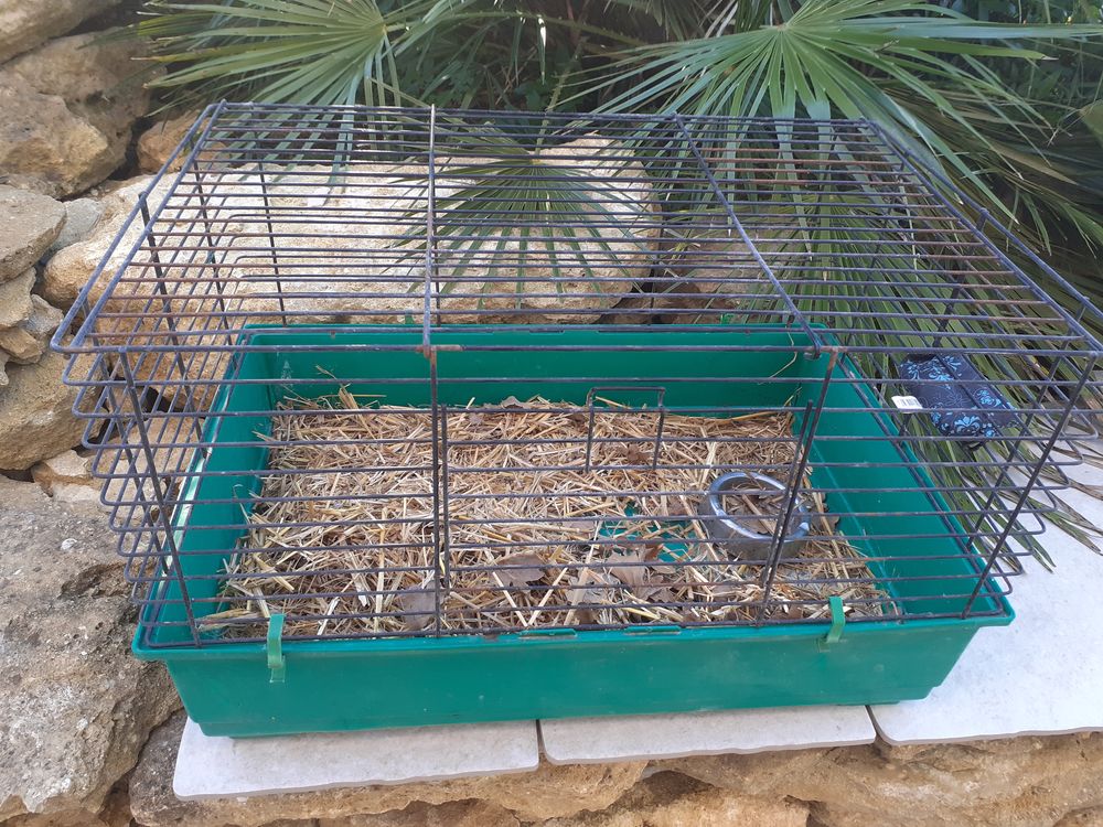 Cage &agrave; lapins Jardin