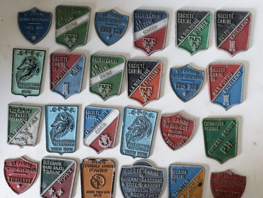 plaques de diverses soci&eacute;t&eacute;s canines 