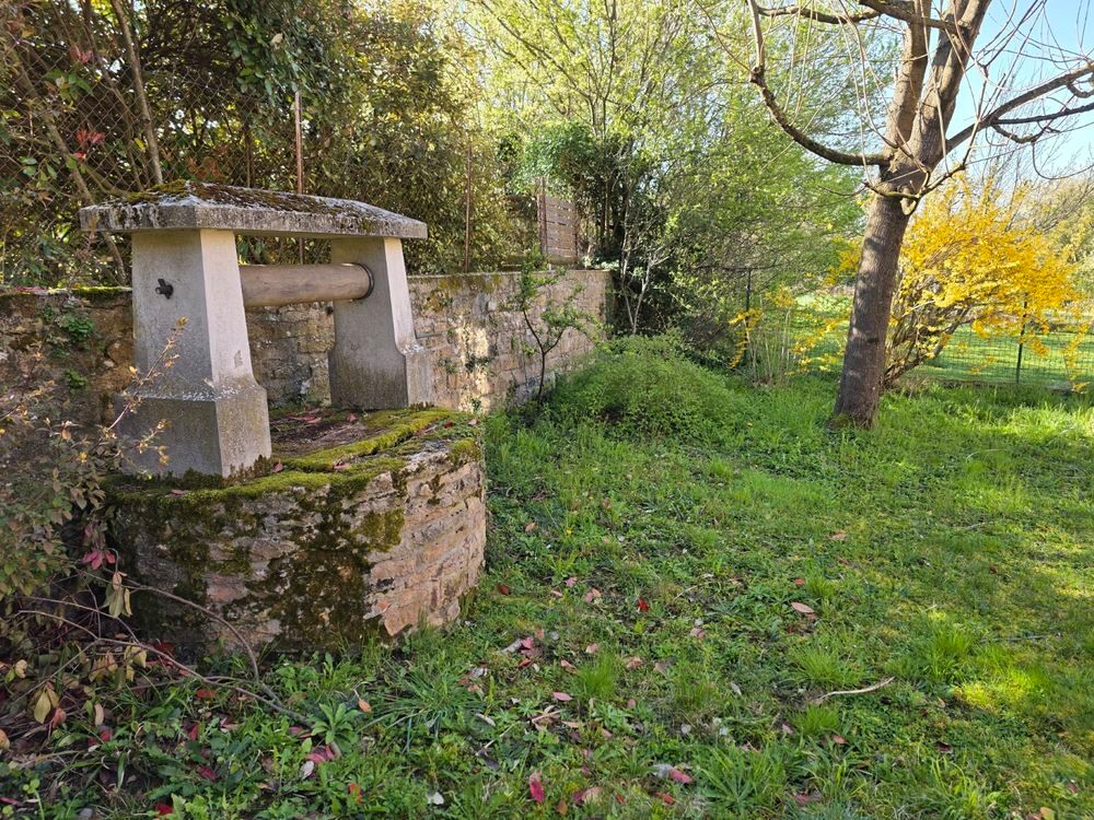 Vente Maison Secteur Brancion Bourgogne Sud. Grande maison de caractère. La chapelle-sous-brancion