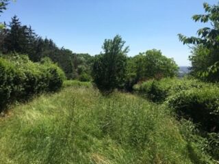  Maison � louer 5 pi�ces 120 m� Dommartemont