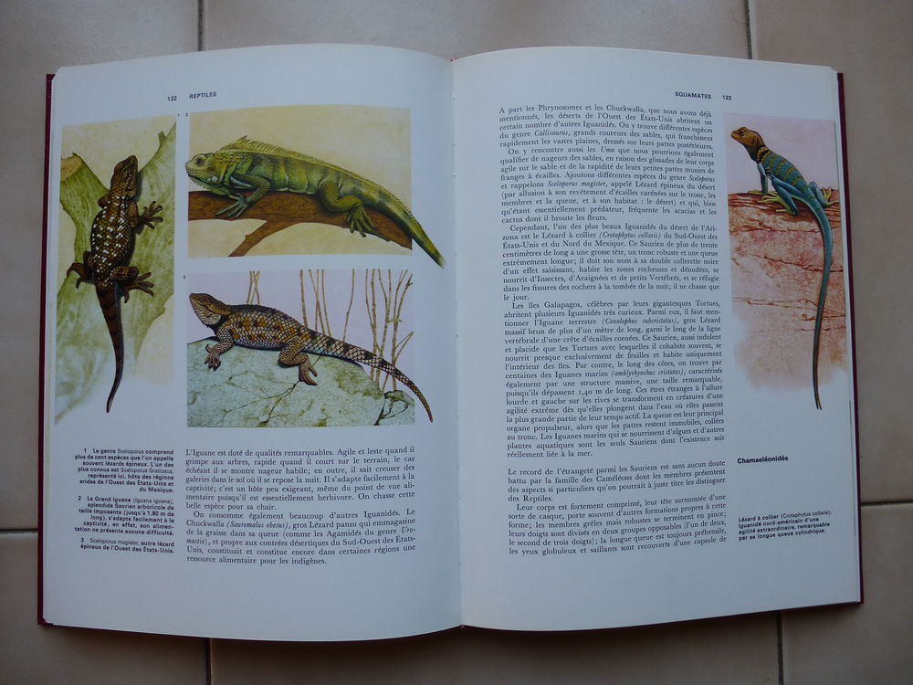 Encyclop&eacute;die de la nature Agnathes et poissons Livres et BD