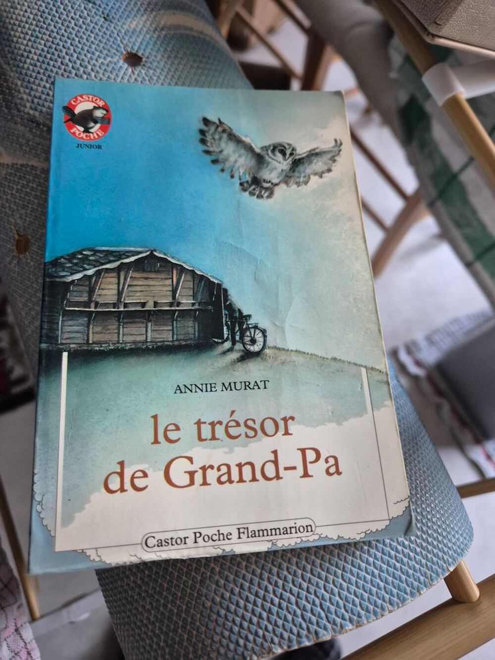 Annie Mur&agrave;&cent;t le tr&eacute;sor de Grand-Pa Livres et BD