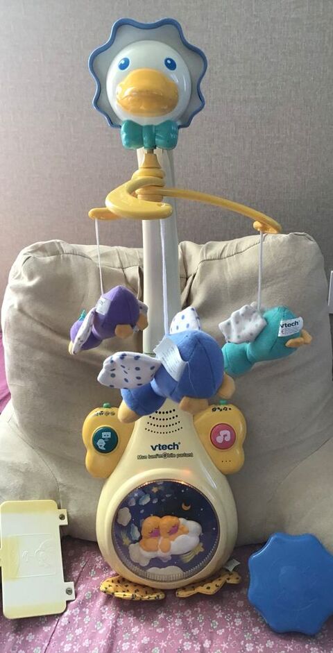 Man�ge oie  musical lumineuse Vtech 5 Verneuil-sur-Avre (27)