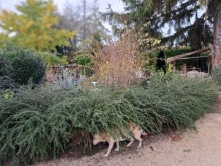  Maison � vendre 6 pi�ces 180 m�