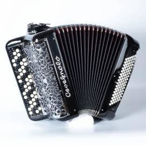 accordon cavagnolo acoustique quip odysse 600 Dole (39)
