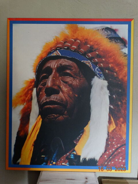 TABLEAU CHEF INDIEN affiche 38 Souppes-sur-Loing (77)