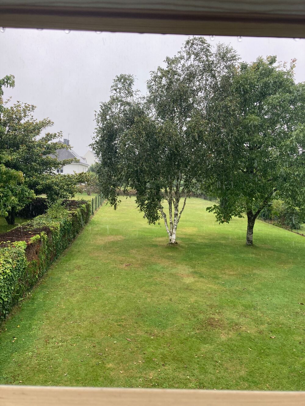   Maison en Rez de jardin Bretagne, Pluvigner (56330)