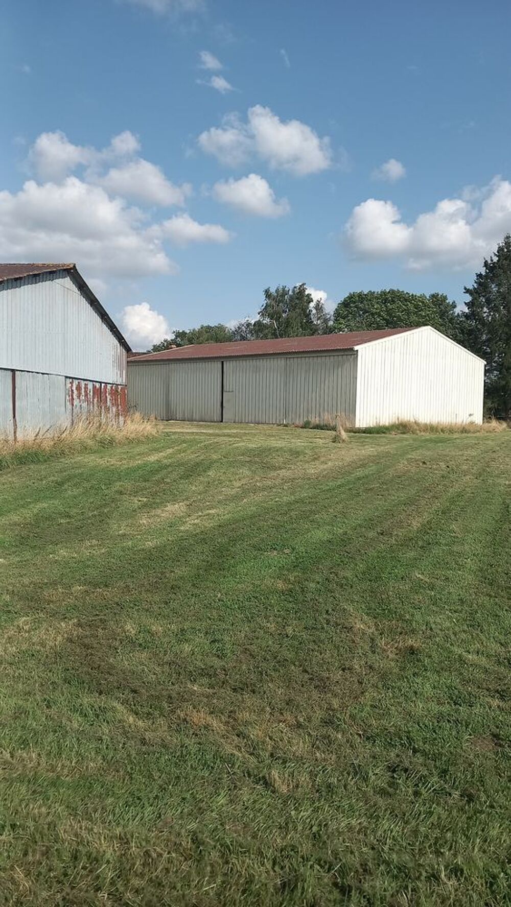Vente Terrain Terrain avec 2 hangars Saint-Éliph