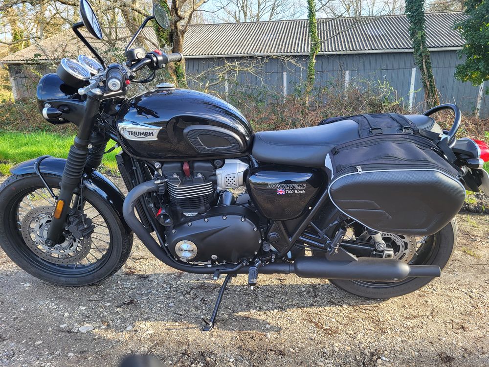 TRIUMPH 2017 occasion 56530 Qu&eacute;ven