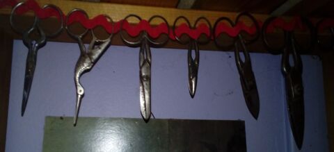 Anciens ciseaux 8 Sainghin-en-Weppes (59)