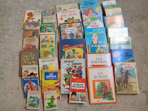 Lot de Livres pour enfants Sepmes (37)