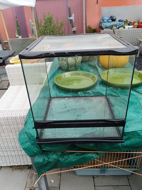 Terrarium 80 Fouras (17)