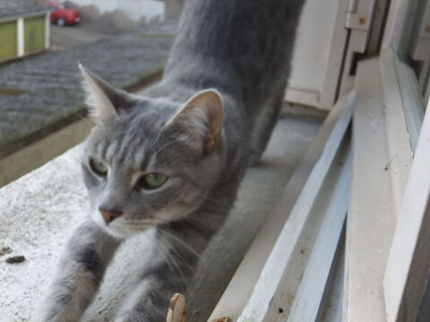 VENUS et WINNY  0 58000 Nevers