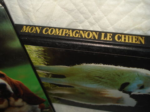 livres sur les chiens 10 Saint-Aubin-le-Cloud (79)