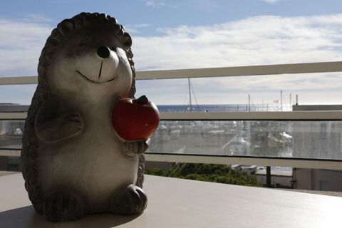   moyenne dur�e vue mer. Appartement - 2 pi�ce(s) - 31 m�