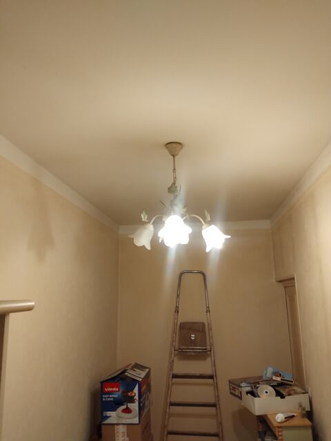Lustre 25 Venarey-les-Laumes (21)