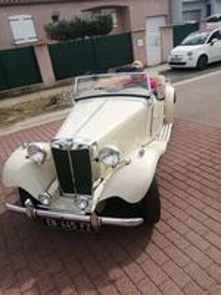   occasion 66440 Torreilles
