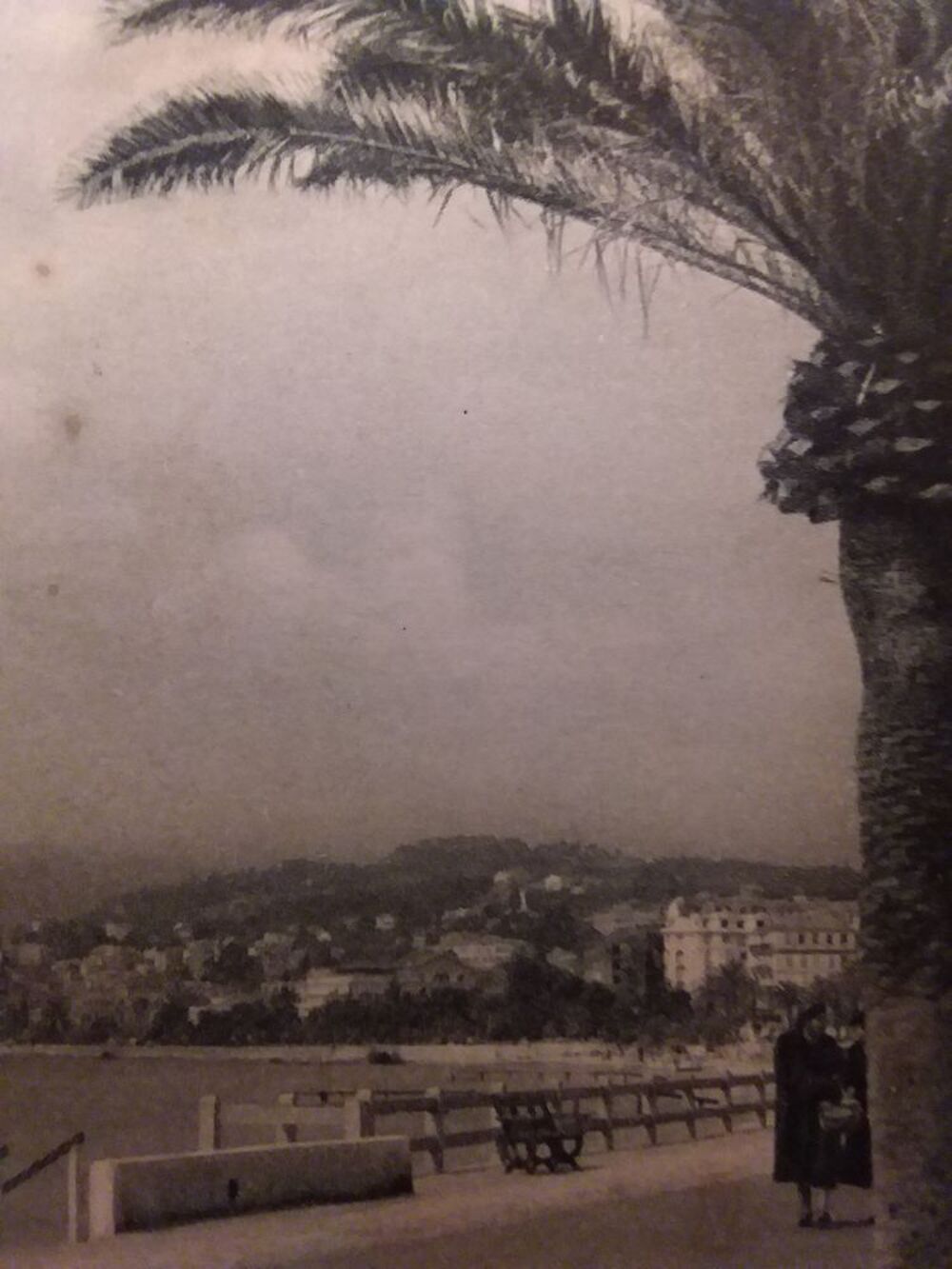 Carte postales semis moderne Departement 06 