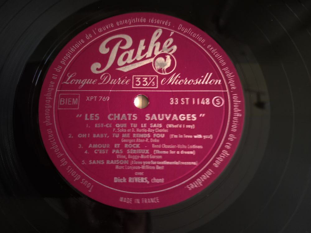 LES CHATS SAUVAGES 25 Cm CD et vinyles