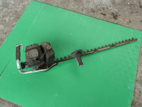 Taille haie thermique 13 Marcilly-le-Hayer (10)