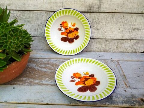 Paire d'Assiettes T�le �maill�e D�cor Fleurs
25 Loches (37)