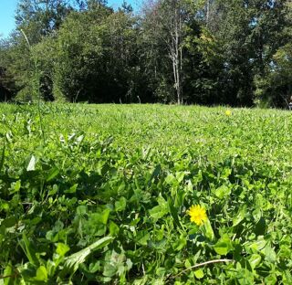  Terrain � vendre 3300 m�