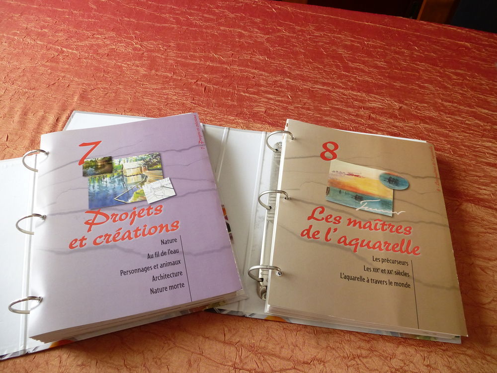 Livres classeurs - collection Livres et BD