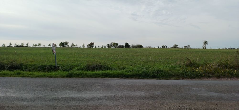 Vente Terrain TERRAIN de LOISIR 4000 m² - Proche Ancenis / St Géréon Mésanger