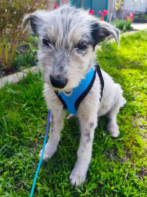 ROMACHKA SE TROUVE DANS UN REFUGE EN UKRAINE 0 75018 Paris