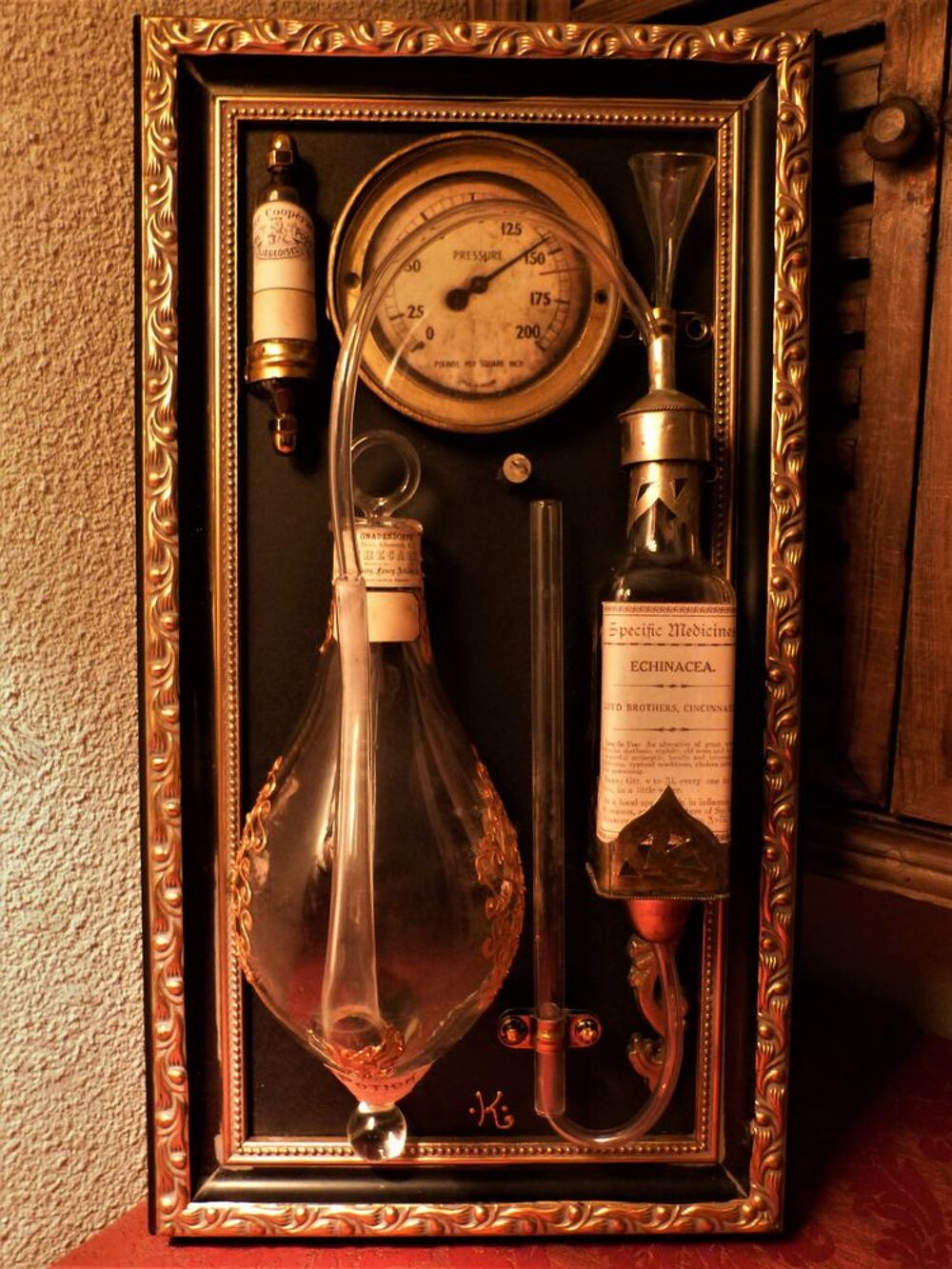 Tableau de Curiosit&eacute; "DOCTORIUM XIX" Steampunk Décoration