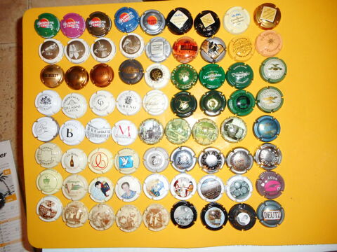 LOTS DE 20 MUSELETS DE CHAMPAGNE 7 Mazan (84)