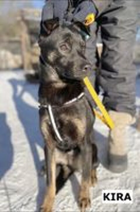   KIRA SE TROUVE DANS UN REFUGE EN UKRAINE 